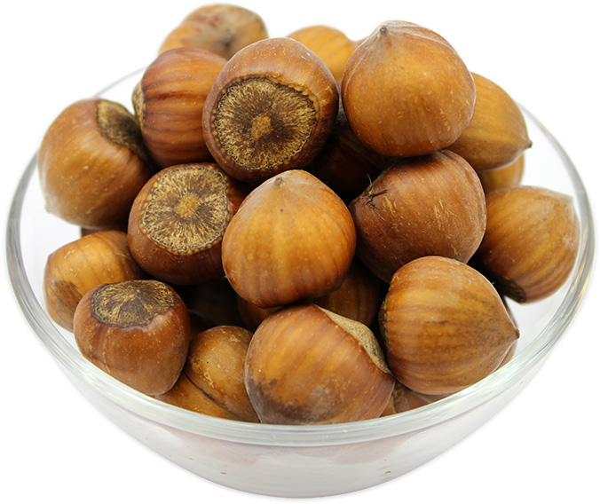 Buy Hazelnuts In Shell Online at Low Prices Nuts in Bulk