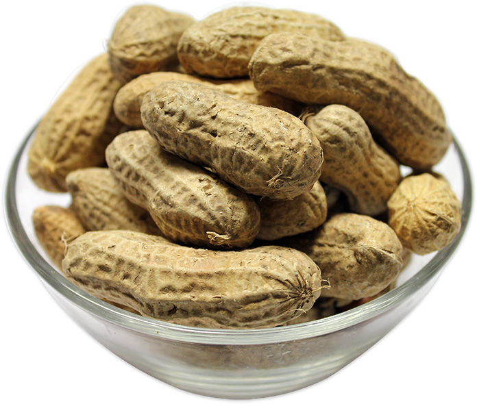 Wholesale Supplier of Peanuts online in bulk UK