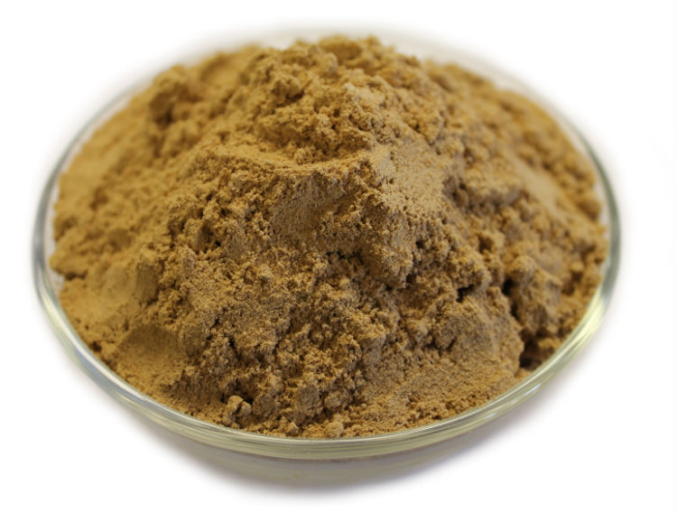 buy ginger powder in bulk