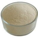 Buy Psyllium Husk Online in Bulk