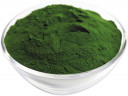 buy green blend powder in bulk